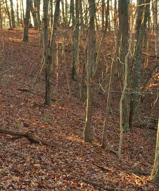 Hinton, WV 25951