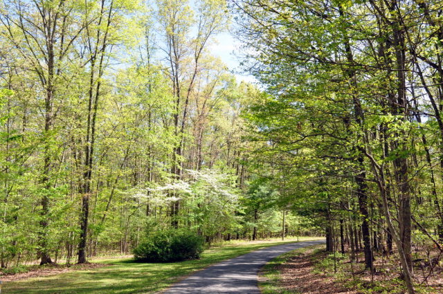 5230 James River Turnpike