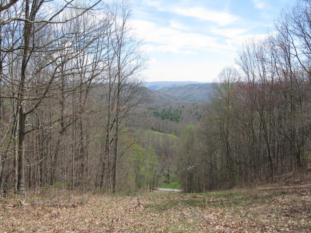 ELLISON RIDGE ROAD, Jumping Branch, WV 25969