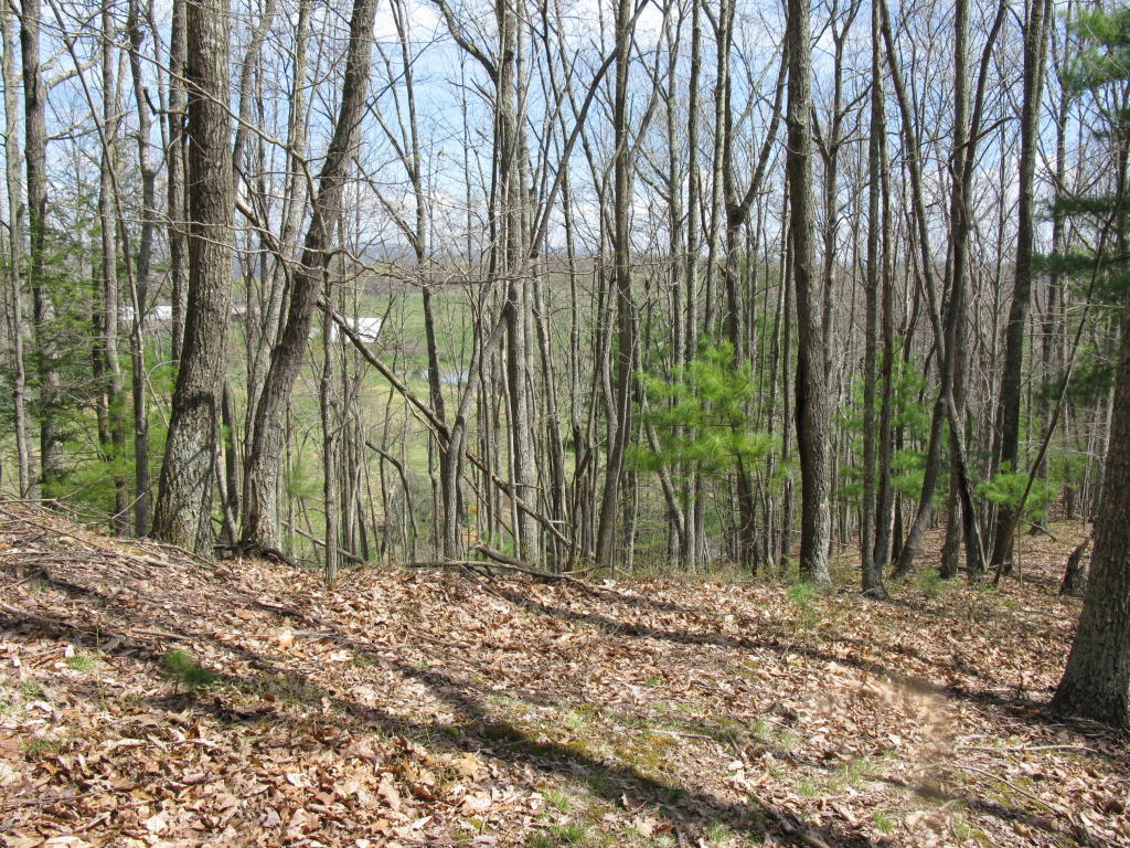 ELLISON RIDGE ROAD, Jumping Branch, WV 25969