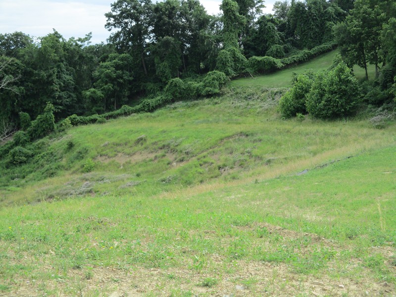 Willow way, Wheeling, WV 26003