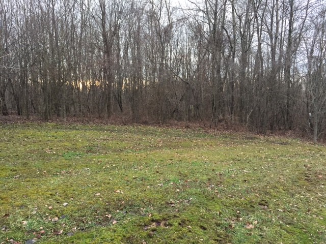TBD Gobblers Ridge Road, Wellsburg, WV 26070