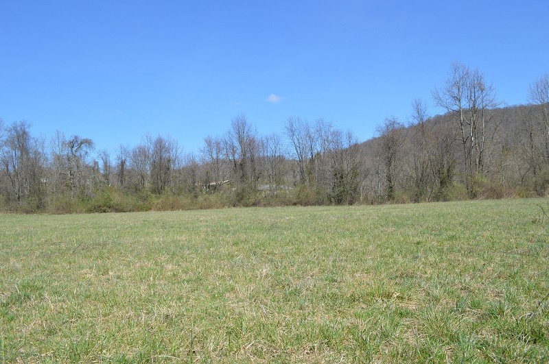 Lot C Shiloh Rd, Friendly, WV 26146