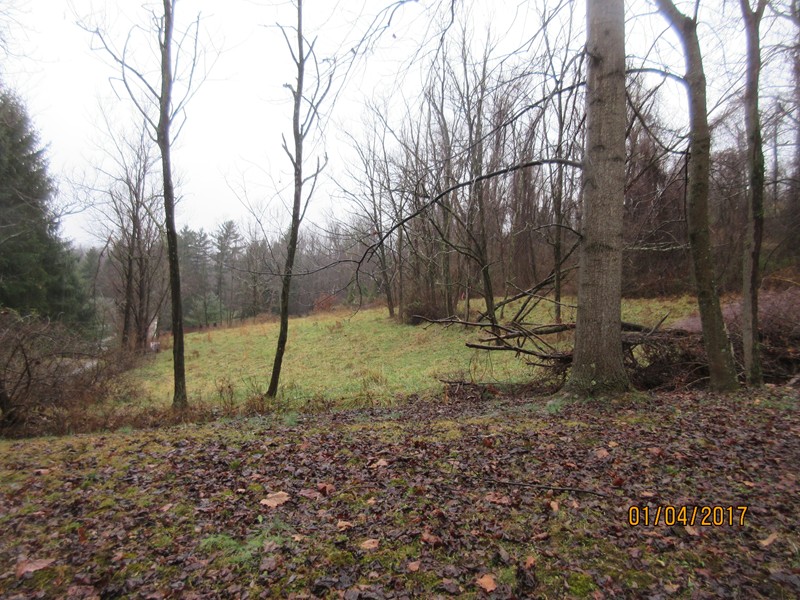 .83 Acres Windsor Ln, New Martinsville, WV 26155