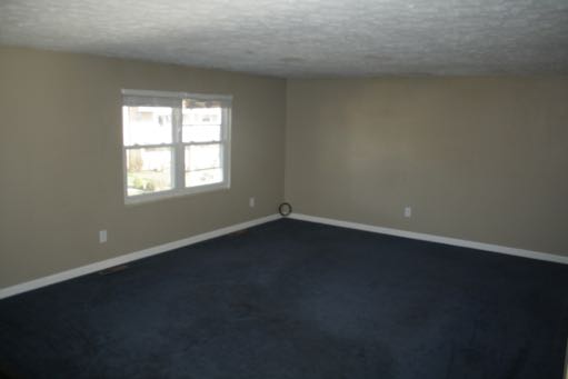 63 Greenwood DriveWilliamstown, WV, 26187Wood County