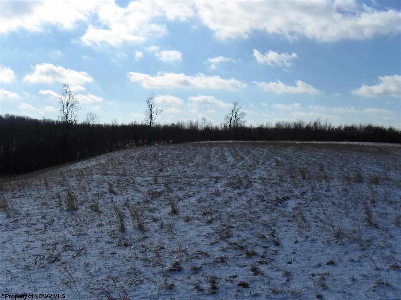 LOT 51 BRIAR RIDGE ESTATES Lane, Buckhannon, WV 26201