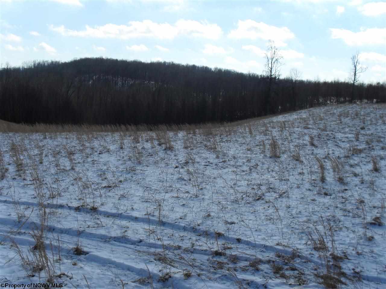 LOT 51 BRIAR RIDGE ESTATES Lane, Buckhannon, WV 26201