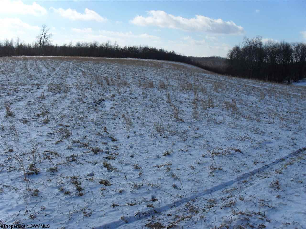 LOT 51 BRIAR RIDGE ESTATES Lane, Buckhannon, WV 26201