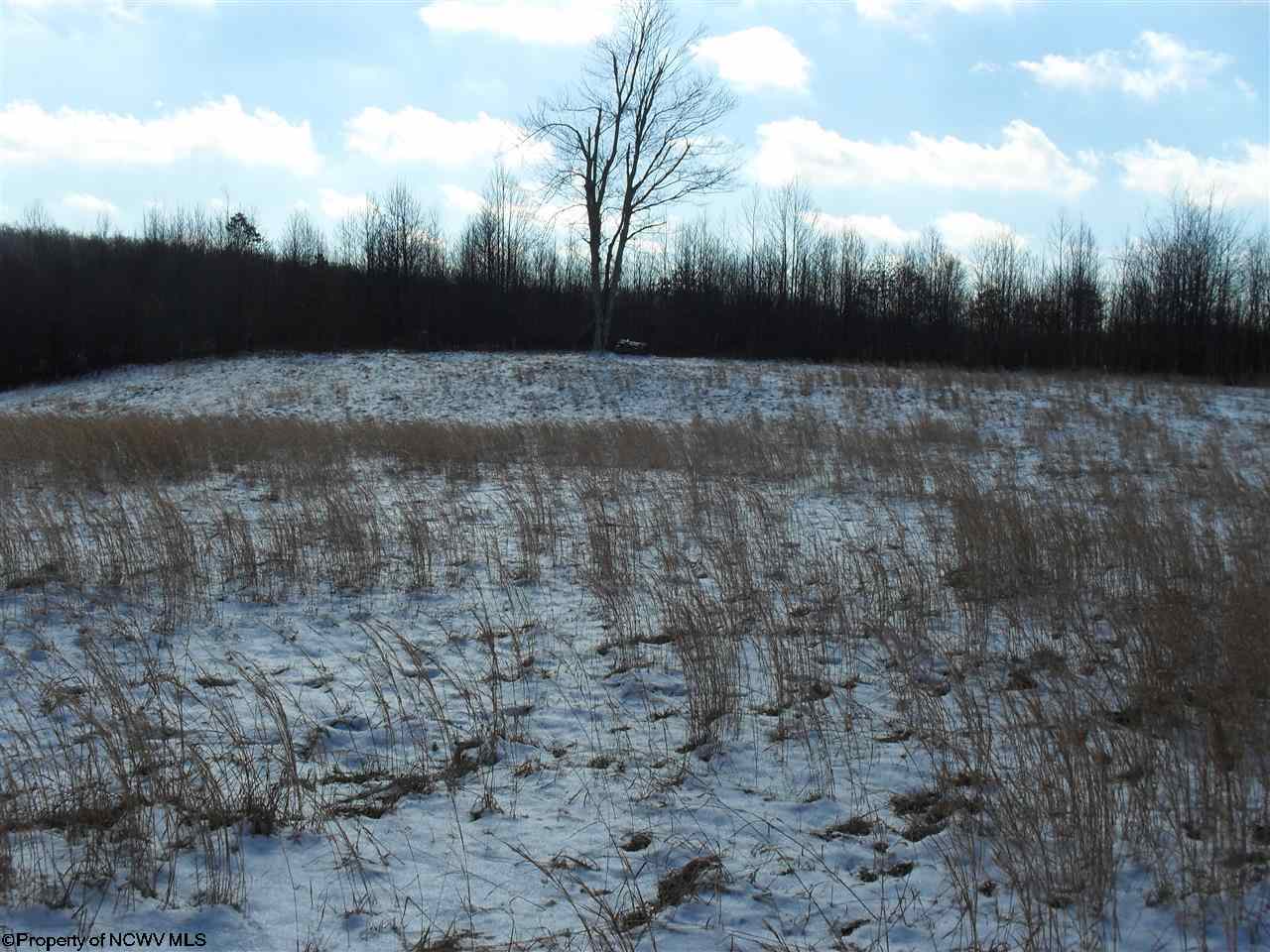 LOT 51 BRIAR RIDGE ESTATES Lane, Buckhannon, WV 26201