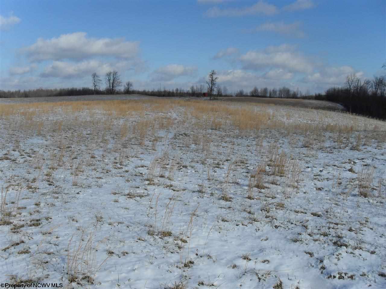 LOT 52 BRIAR RIDGE ESTATES Lane, Buckhannon, WV 26201