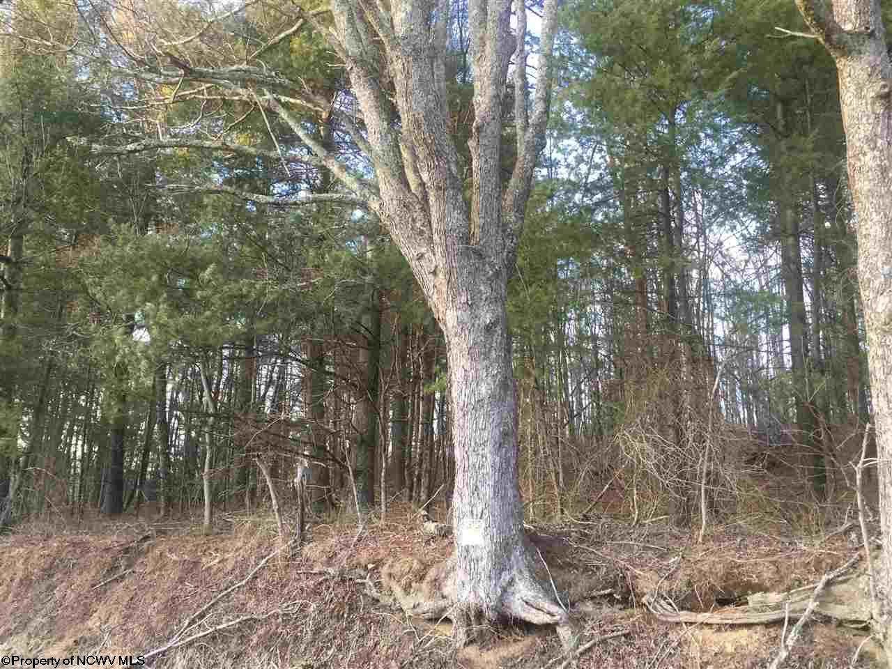 Lot 2 Glady Fork Road, Buckhannon, WV 26201