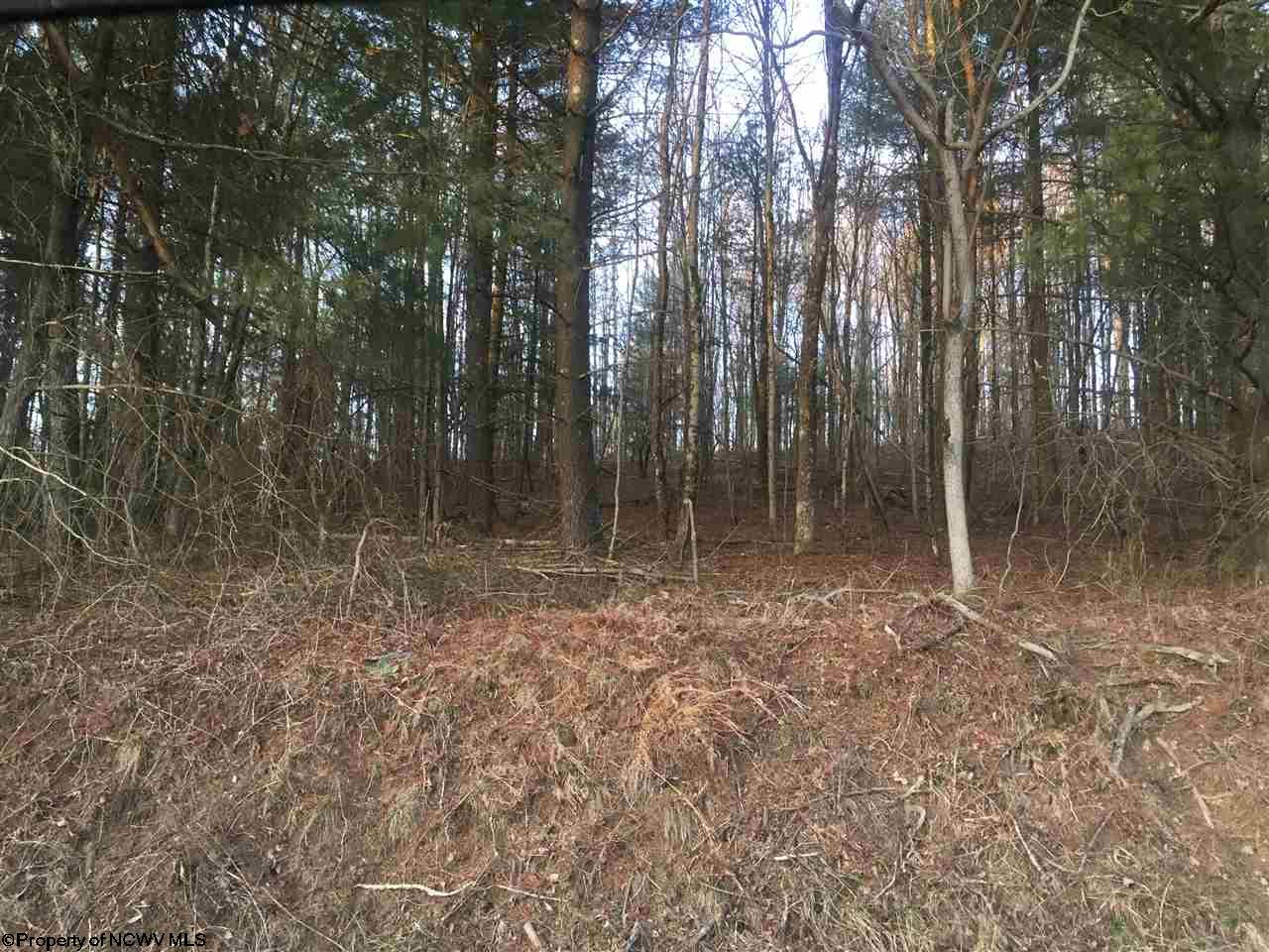 Lot 2 Glady Fork Road, Buckhannon, WV 26201