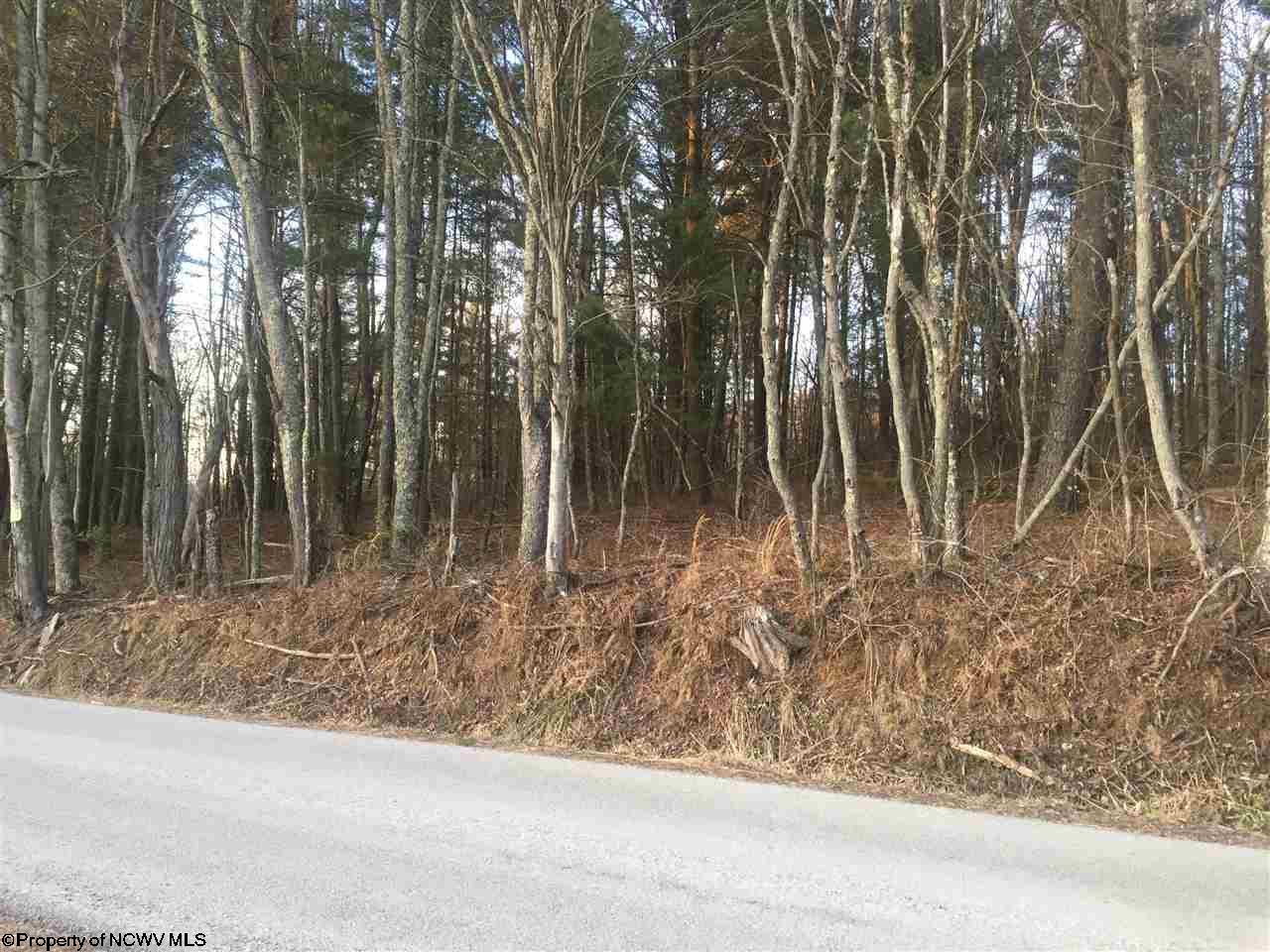 Lot 2 Glady Fork Road, Buckhannon, WV 26201