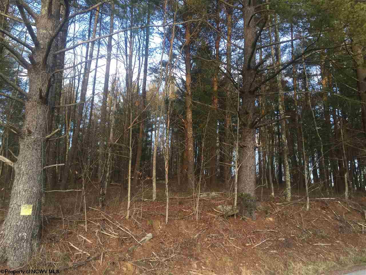 Lot 2 Glady Fork Road, Buckhannon, WV 26201