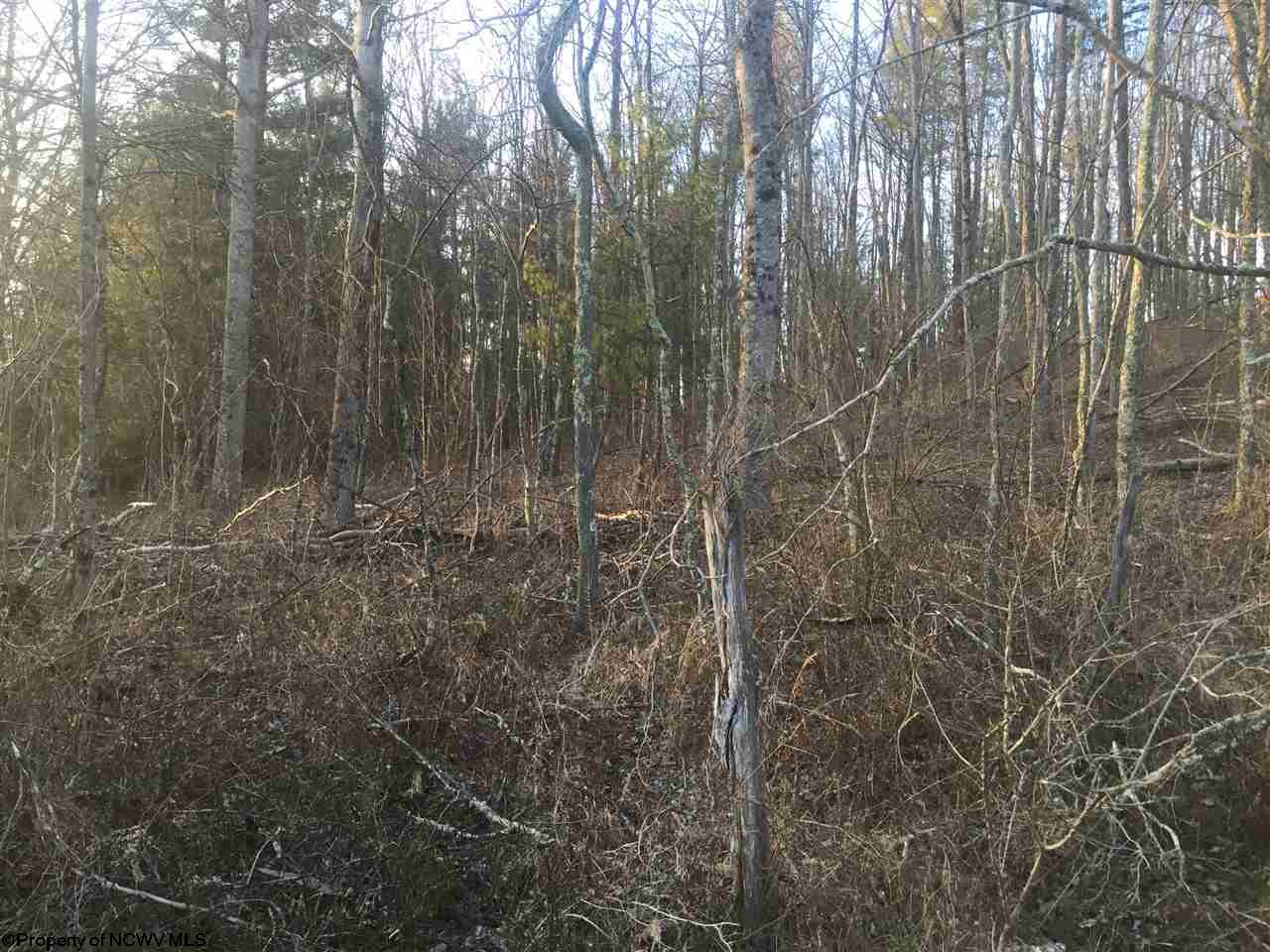 Lot 1 Glady Fork Road, Buckhannon, WV 26201