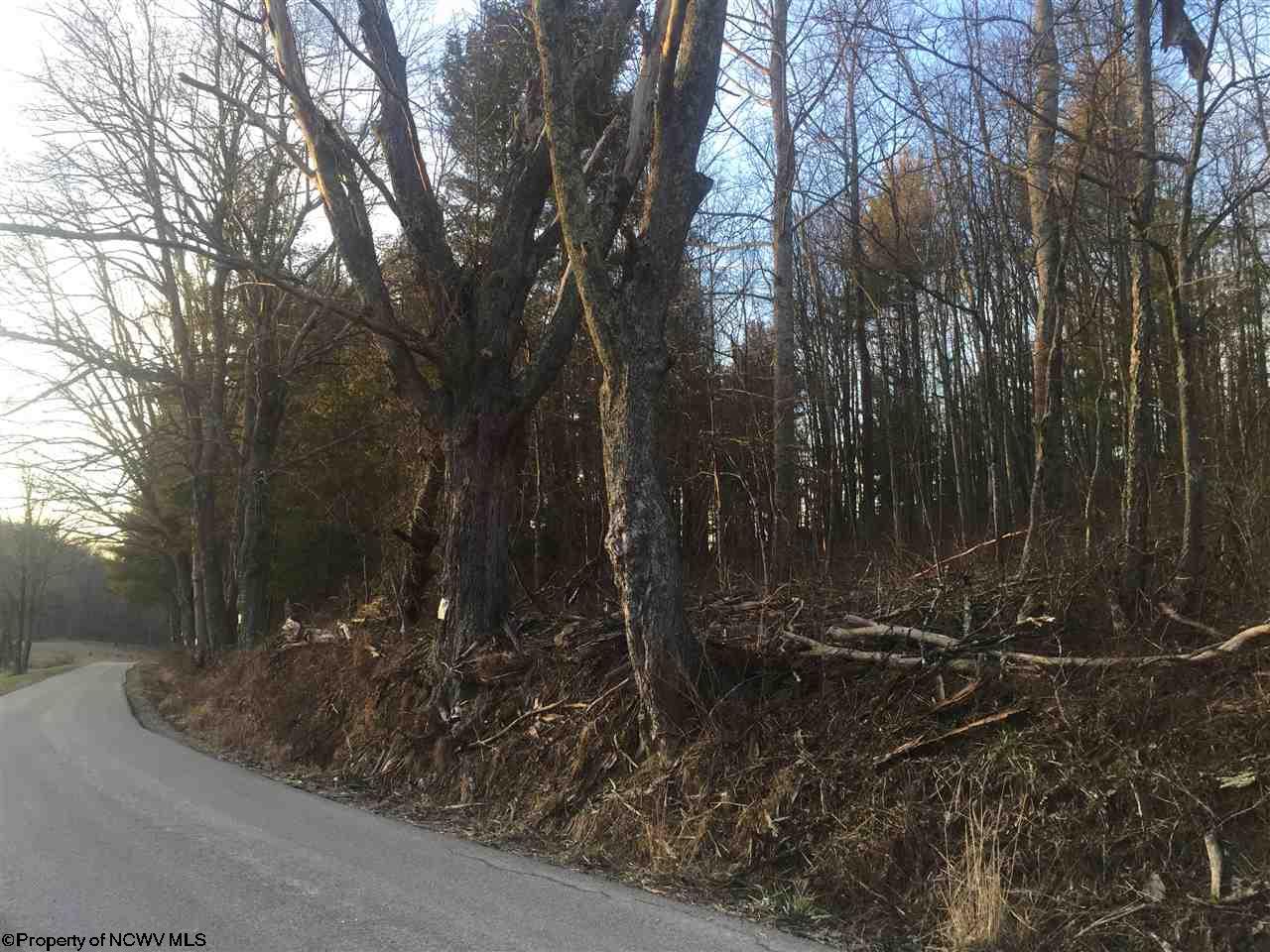 Lot 1 Glady Fork Road, Buckhannon, WV 26201