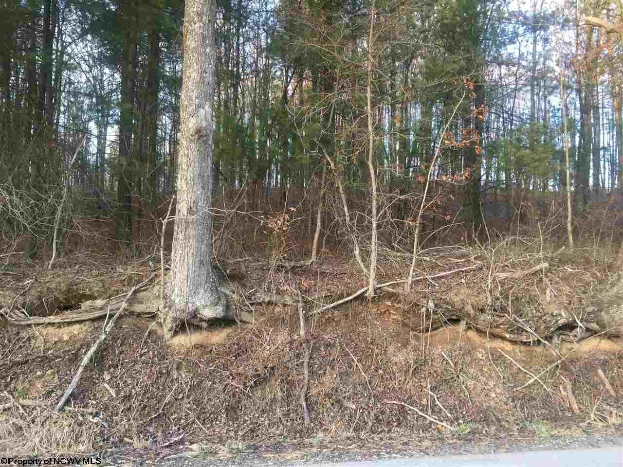 Lot 1 Glady Fork Road, Buckhannon, WV 26201