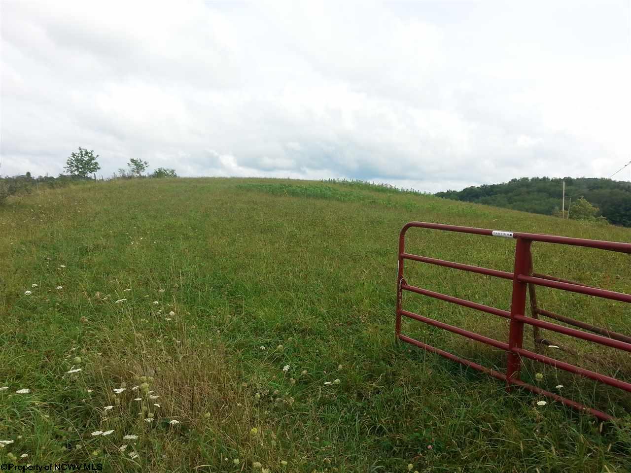 Phillips Dairy Rd.