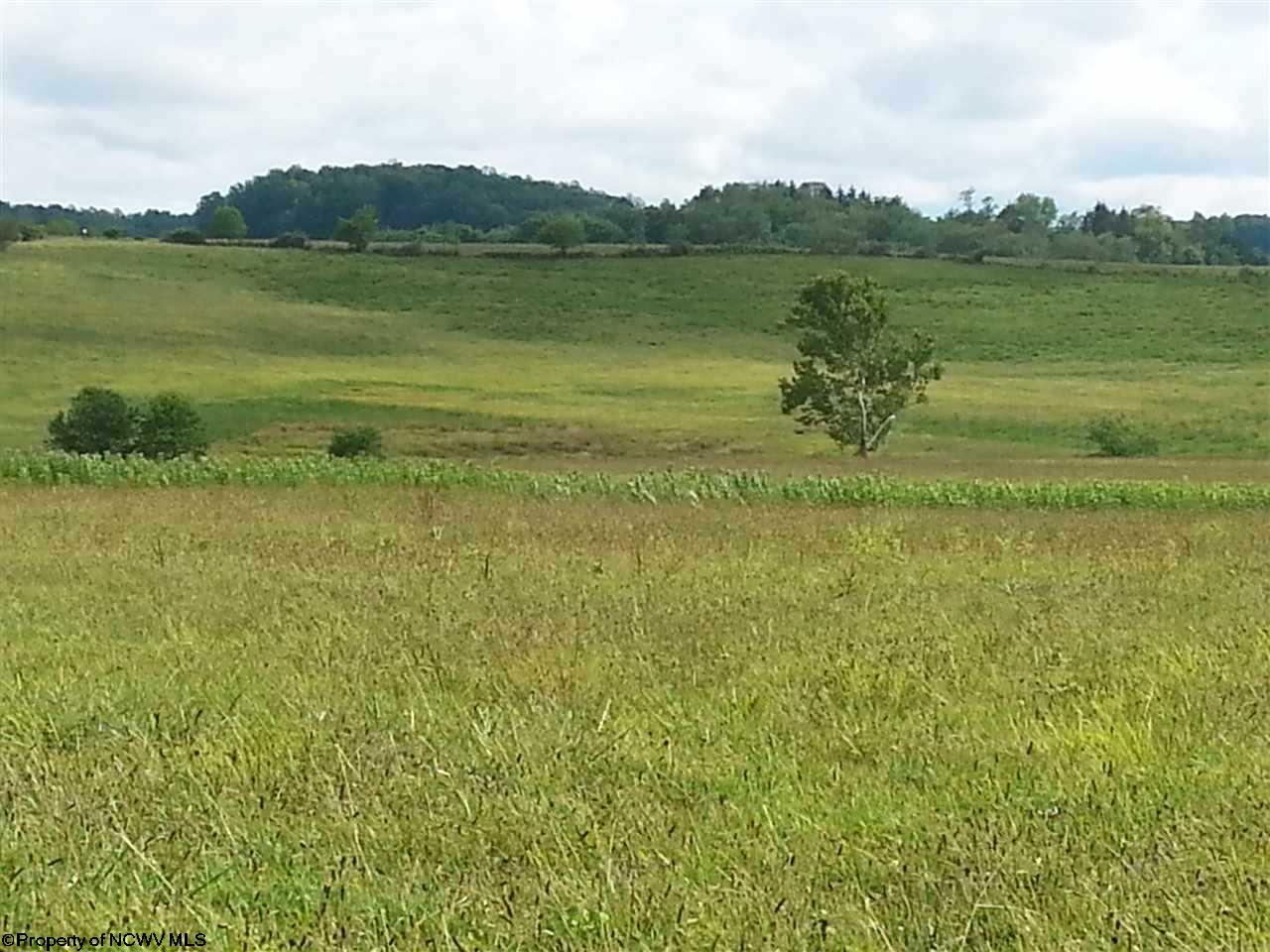 Phillips Dairy Rd.