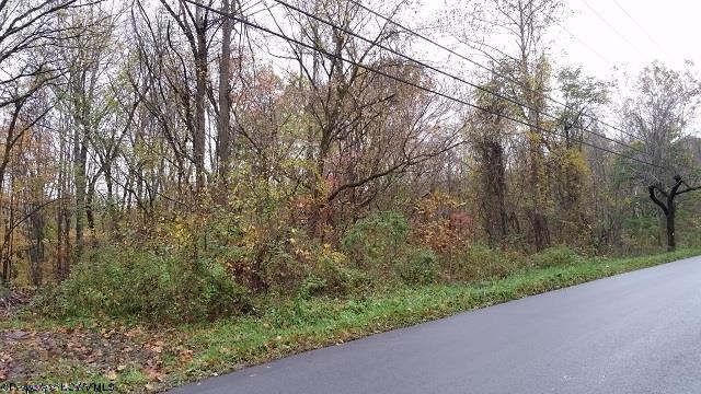 166 Widow Lane
