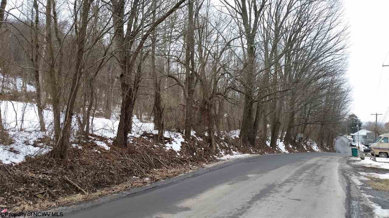 166 Widow Lane
