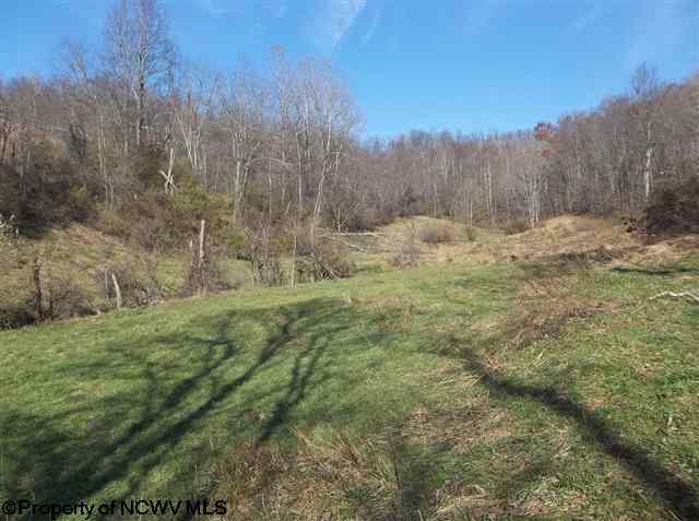 1042 Spruce Fork Road