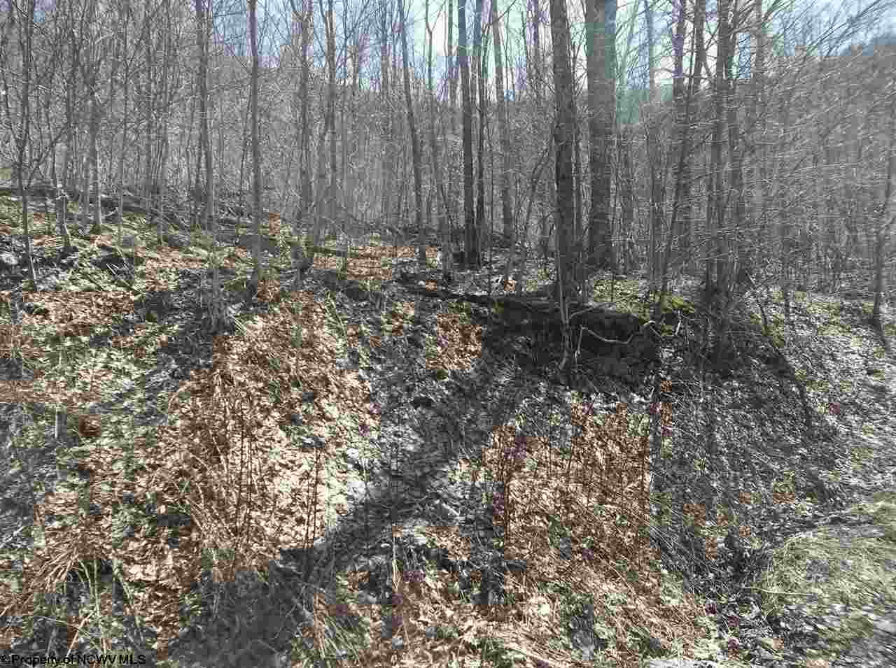 1042 Spruce Fork Road