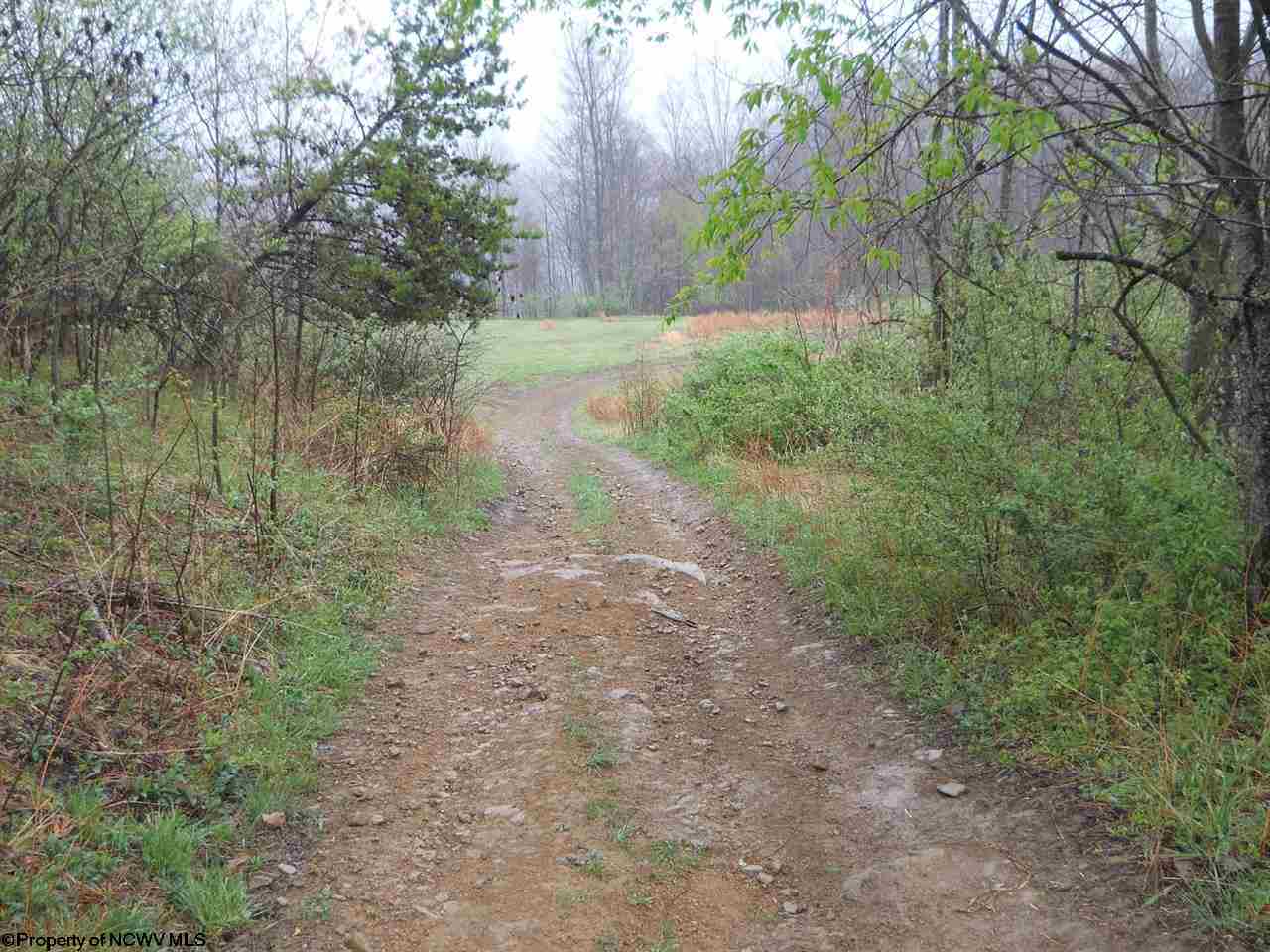 1042 Spruce Fork Road
