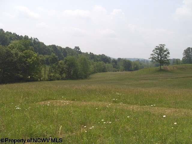 424 Knollwood Dr