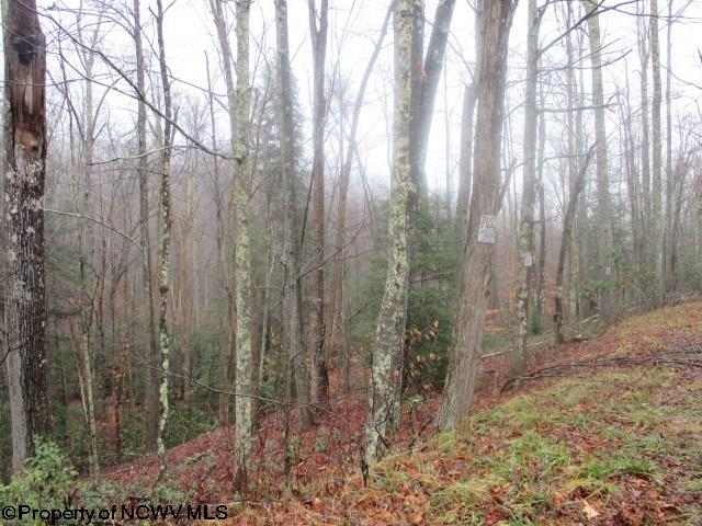 424 Knollwood Dr