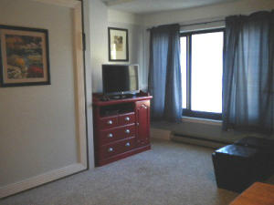 1130 SILVER CREEK, Snowshoe, WV 26209
