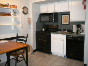 1130 SILVER CREEK, Snowshoe, WV 26209