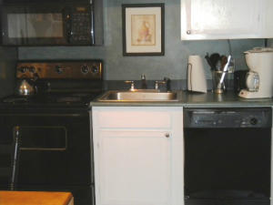 1130 SILVER CREEK, Snowshoe, WV 26209