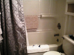 1130 SILVER CREEK, Snowshoe, WV 26209