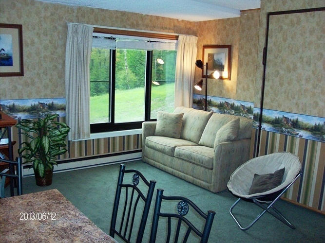1129 SILVER CREEK, Snowshoe, WV 26209