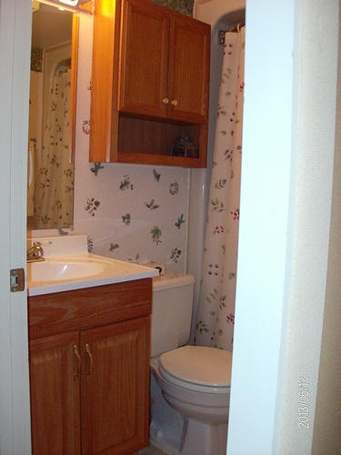 1129 SILVER CREEK, Snowshoe, WV 26209