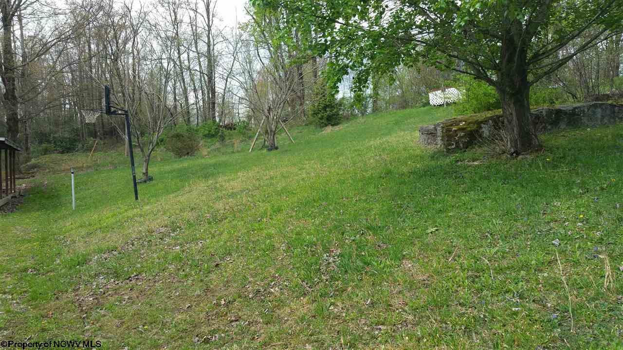 654 Ours Mills Road, French Creek, WV 26218