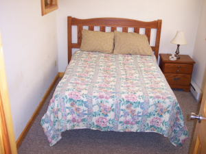 4 MACE MT. RT. 219 NORTH, Slatyfork, WV 26219