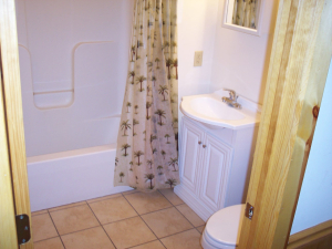 4 MACE MT. RT. 219 NORTH, Slatyfork, WV 26219