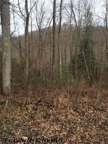 HC 78 Box 42 Street, Rock Cave, WV 26234