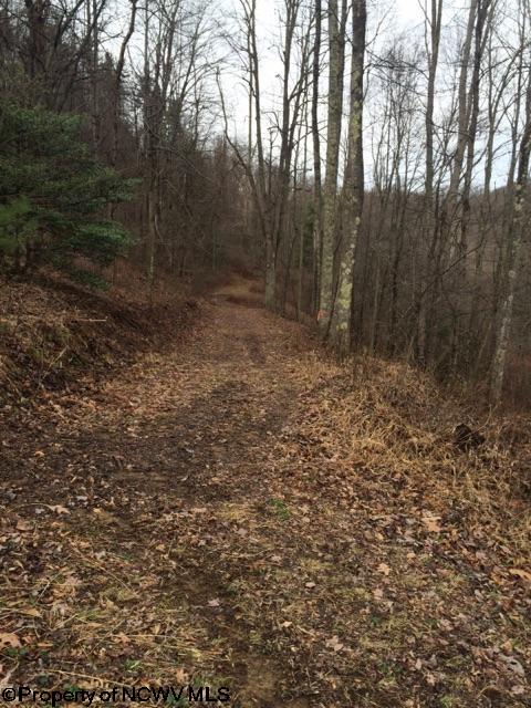 HC 78 Box 42 Street, Rock Cave, WV 26234