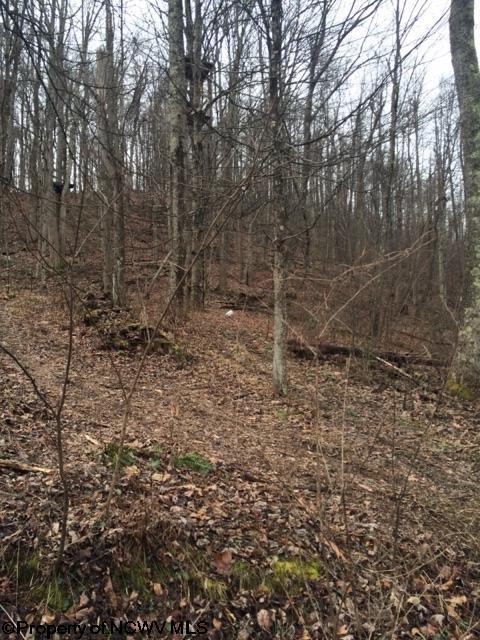 HC 78 Box 42 Street, Rock Cave, WV 26234