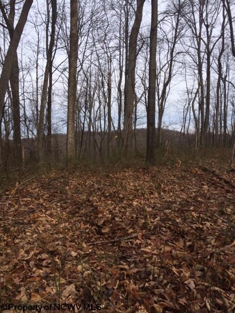 HC 78 Box 42 Street, Rock Cave, WV 26234