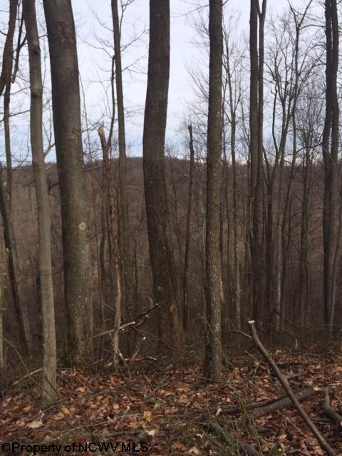 HC 78 Box 42 Street, Rock Cave, WV 26234