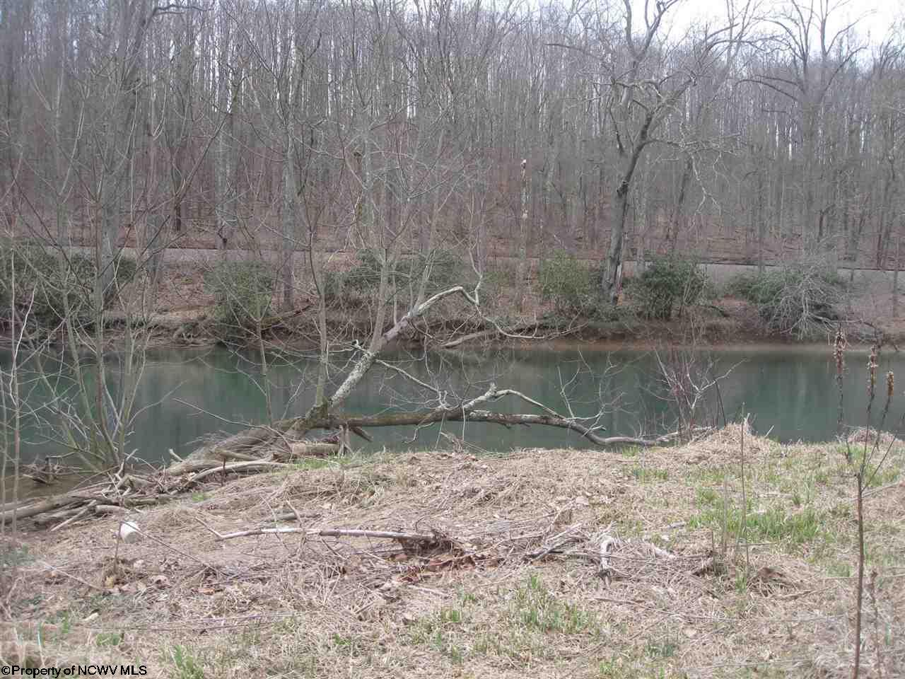 TBD Buckhannon River Road, Volga, WV 26238