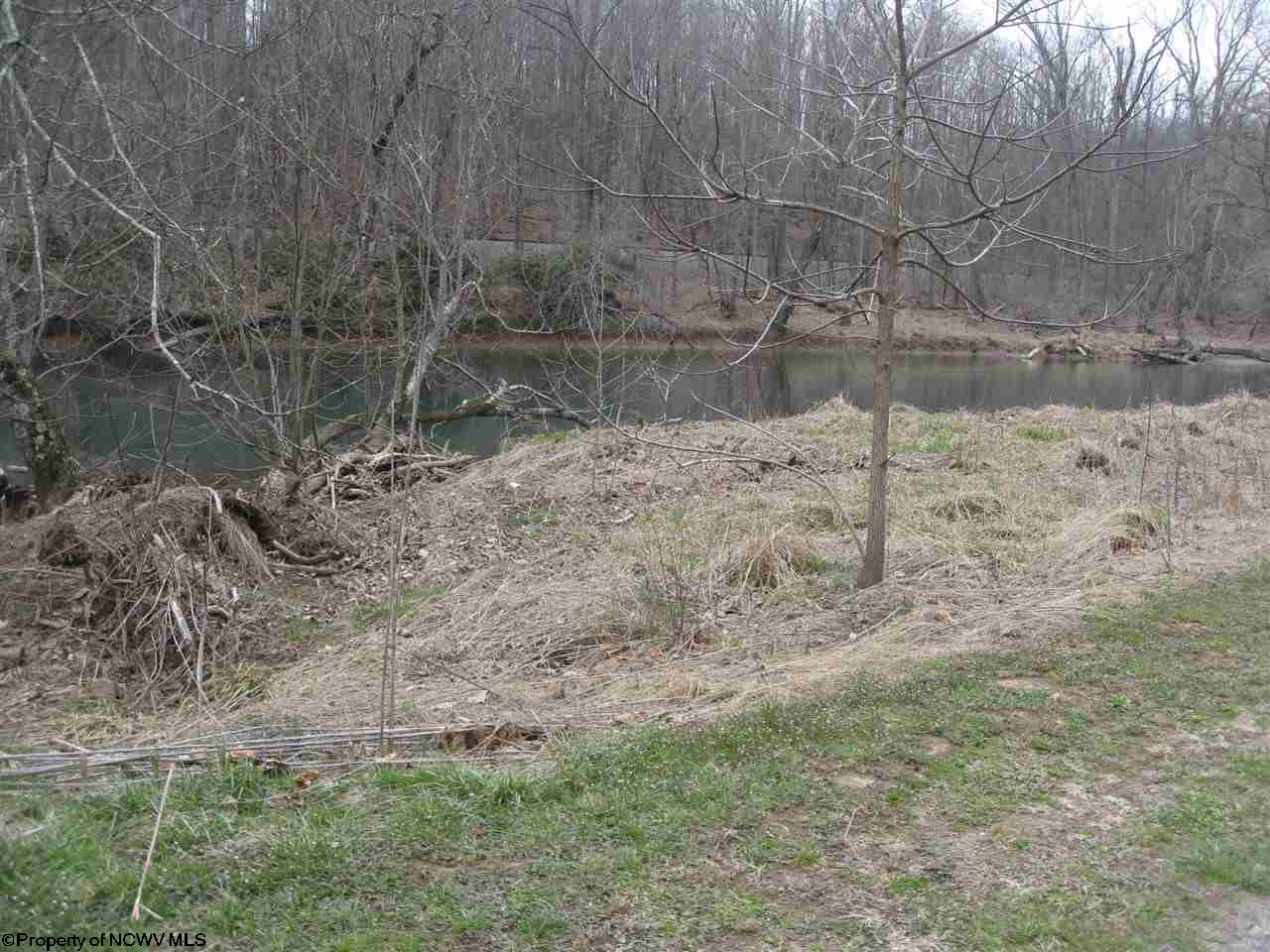 TBD Buckhannon River Road, Volga, WV 26238