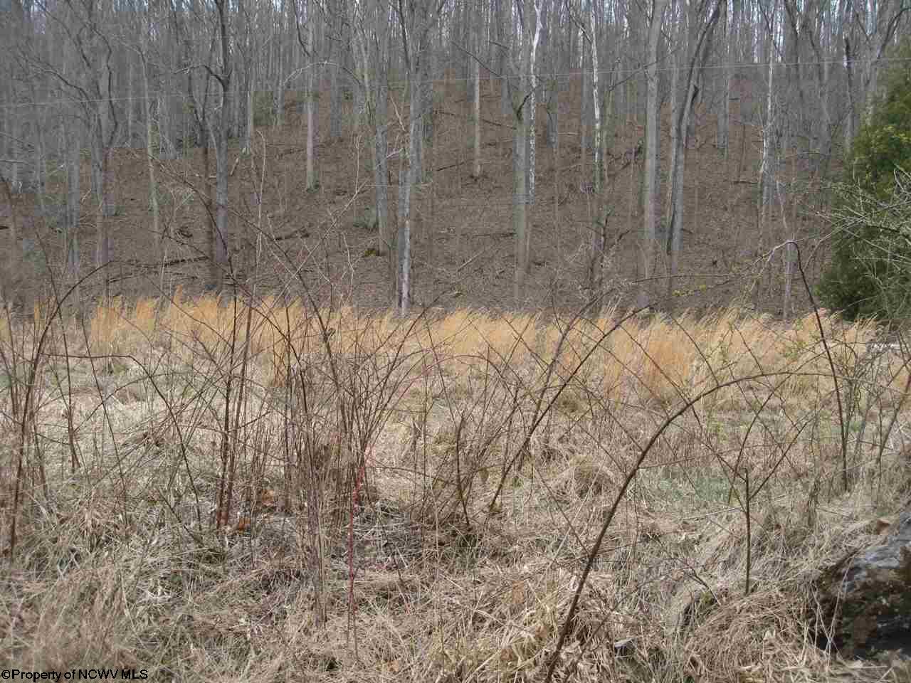 TBD Buckhannon River Road, Volga, WV 26238