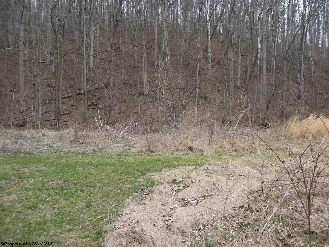 TBD Buckhannon River Road, Volga, WV 26238