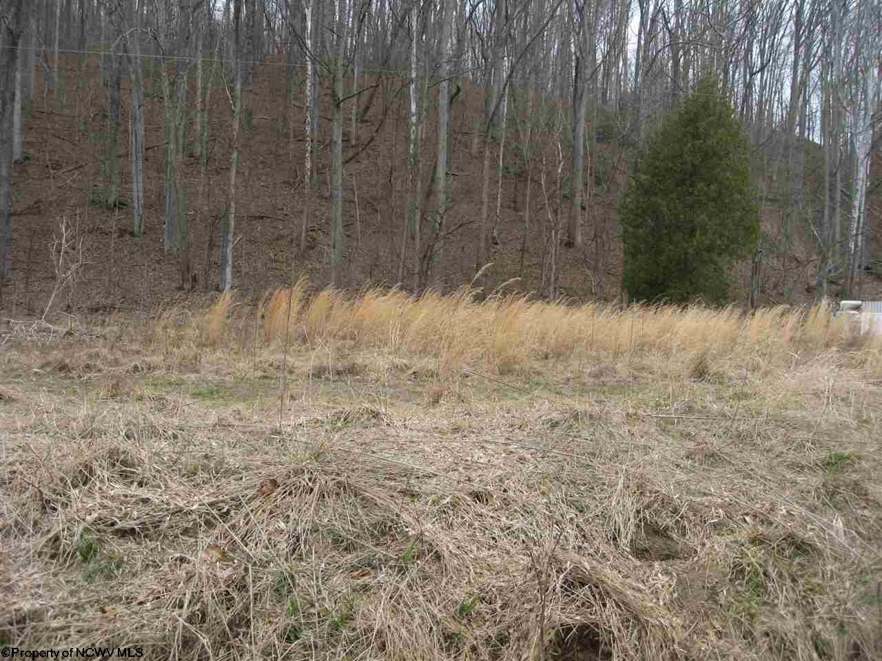TBD Buckhannon River Road, Volga, WV 26238