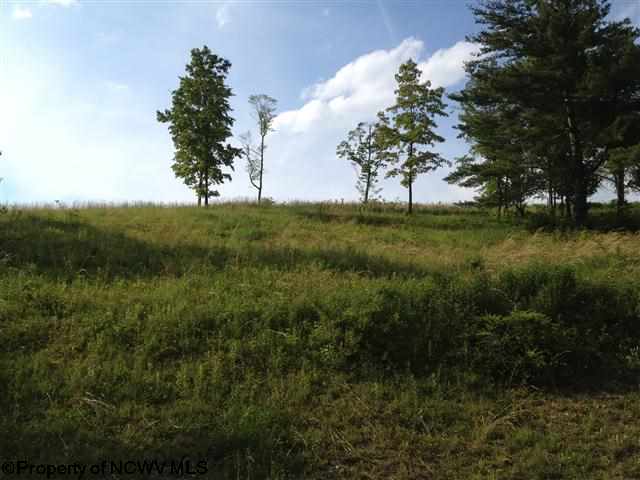 4 Fern Ridge, Elkins, WV 26241